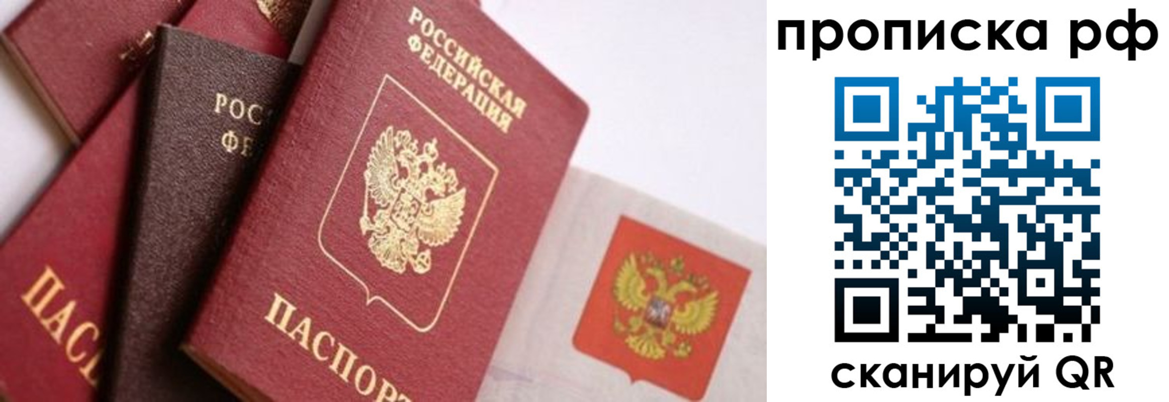 найти адрес прописки в Ельце